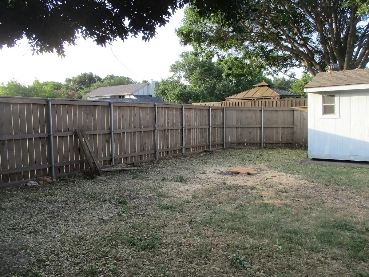 Cleared yard after professional tree removal in Harristown